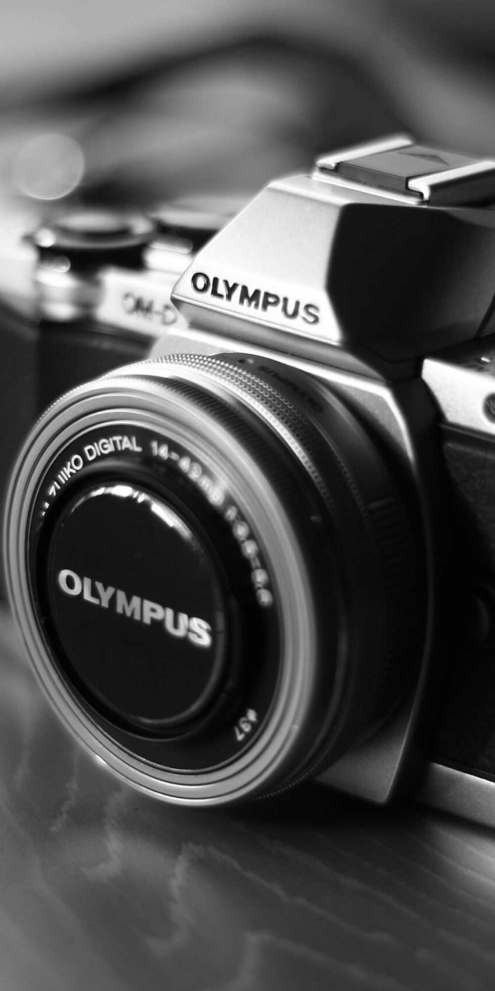 pexels-pixabay-45856